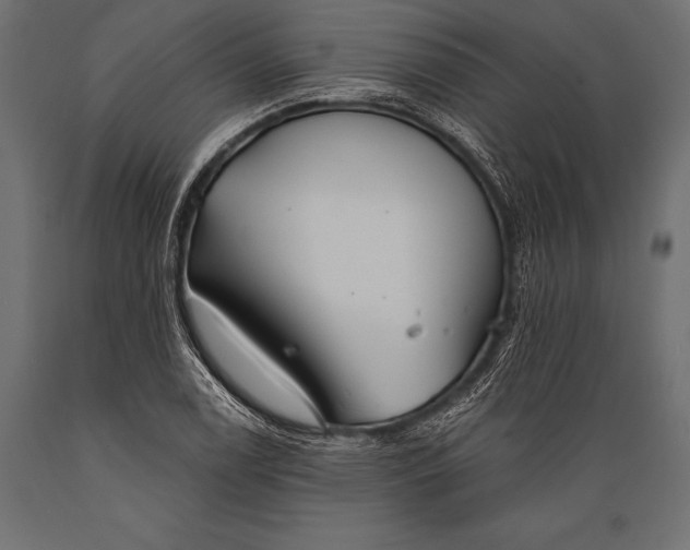 X0000088881122200706291557