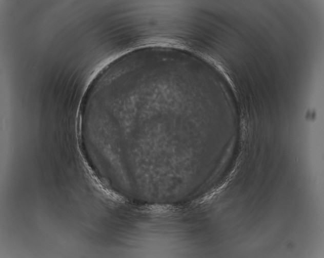 X0000088881125200706291557