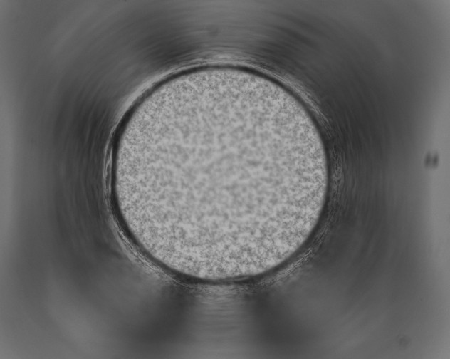 X0000088881126200706291557