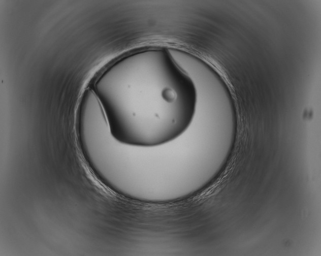 X0000088881128200706291557