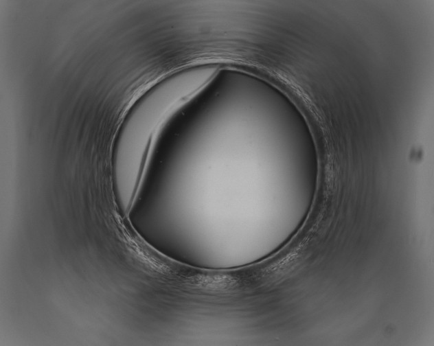 X0000088881129200706291557