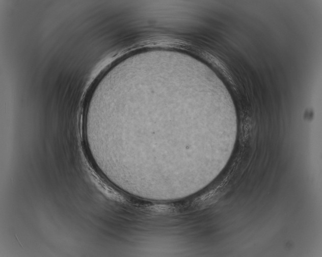 X0000088881130200706291557