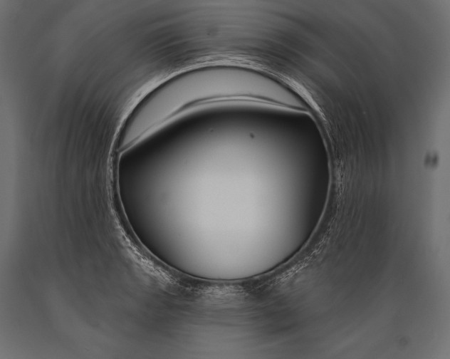 X0000088881133200706291557