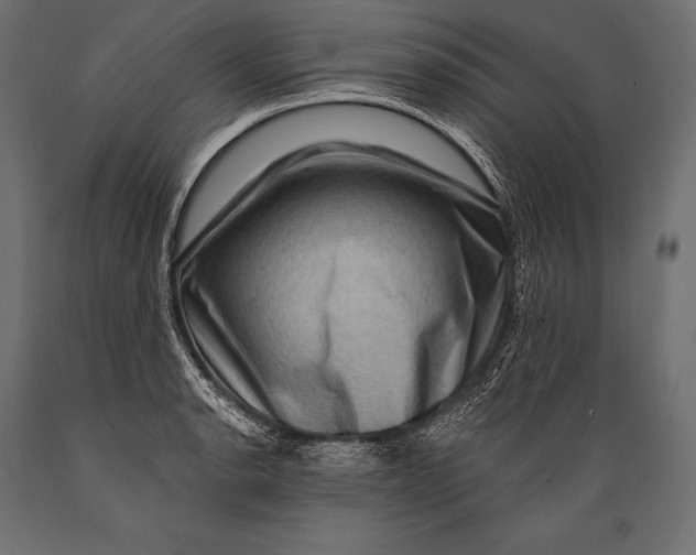 X0000088881134200706291557