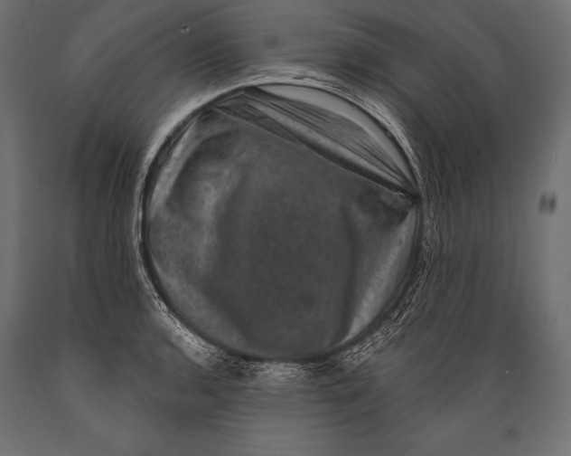 X0000088881136200706291557