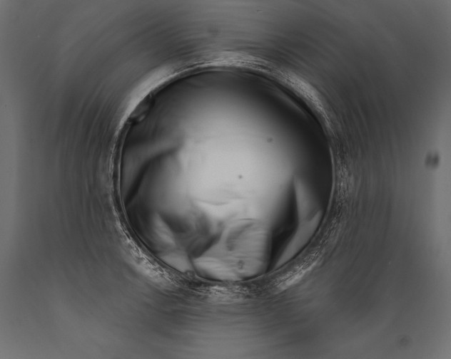 X0000088881138200706291557