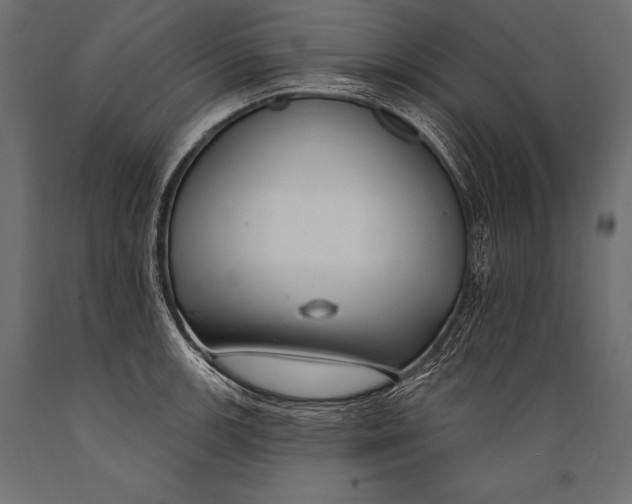 X0000088881139200706291557