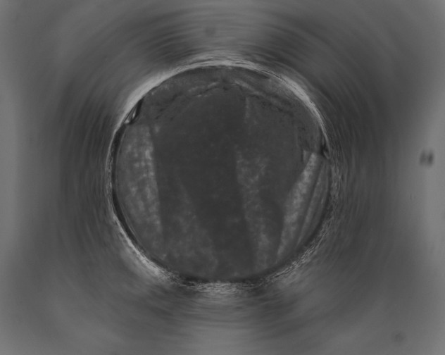 X0000088881141200706291557