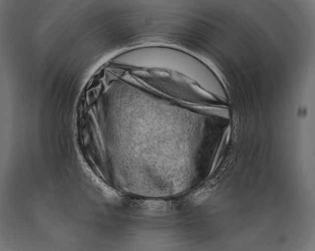 X0000088881142200706291557