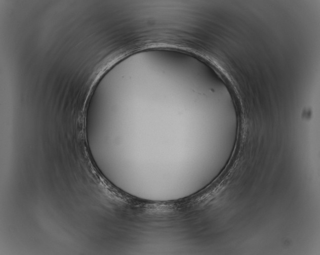 X0000088881145200706291557