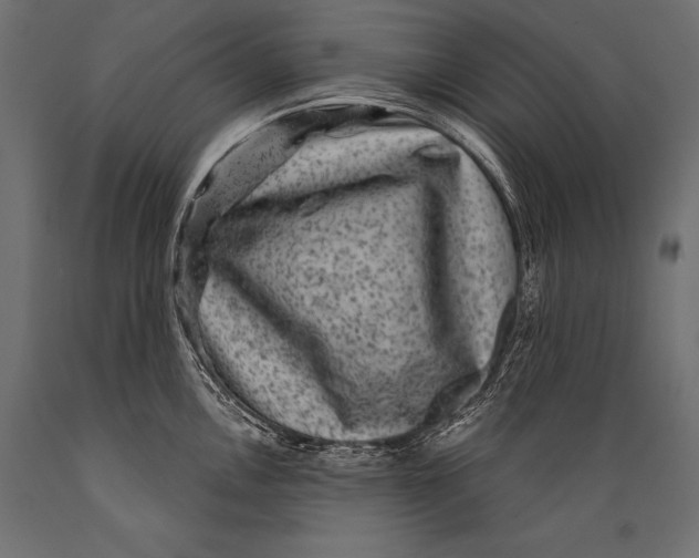 X0000088881146200706291557