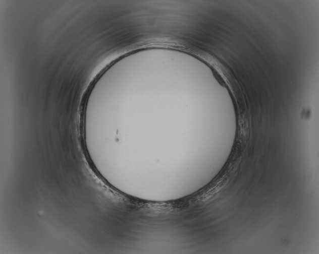 X0000088881147200706291557