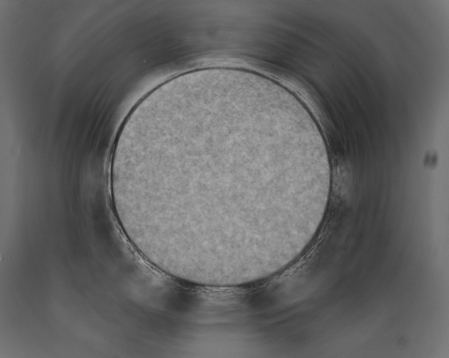 X0000088881150200706291558