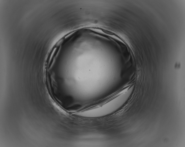 X0000088881151200706291558