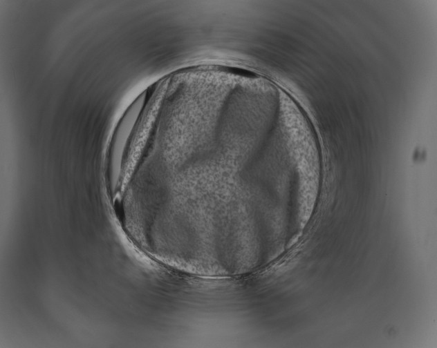 X0000088881152200706291558