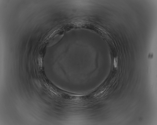 X0000088881155200706291557