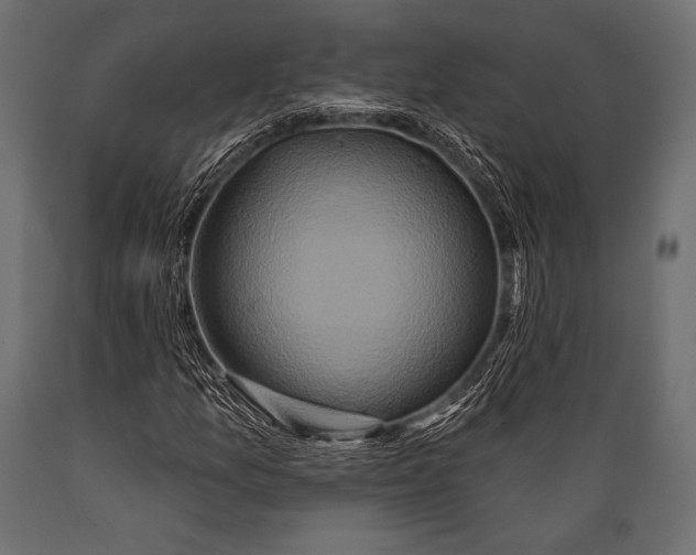 X0000088881157200706291557