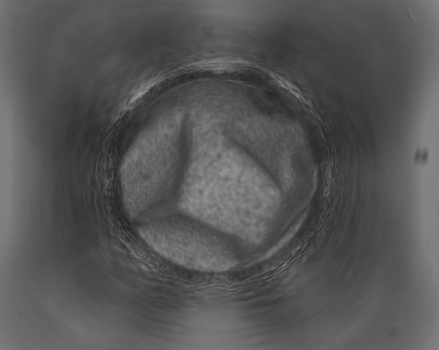 X0000088881158200706291557