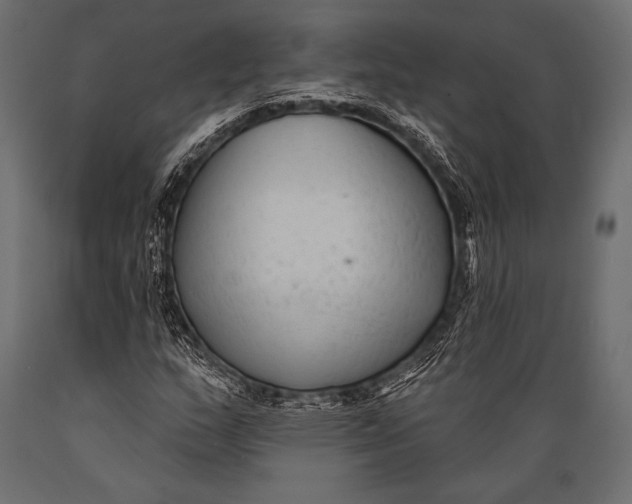 X0000088881159200706291557