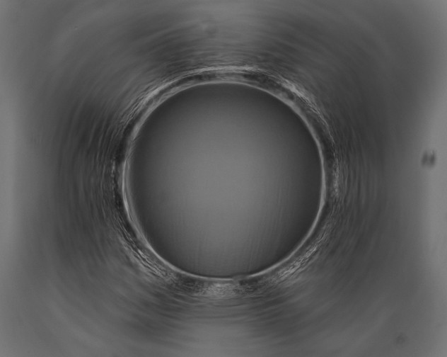 X0000088881161200706291557