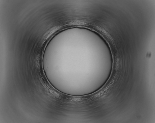 X0000088881162200706291557