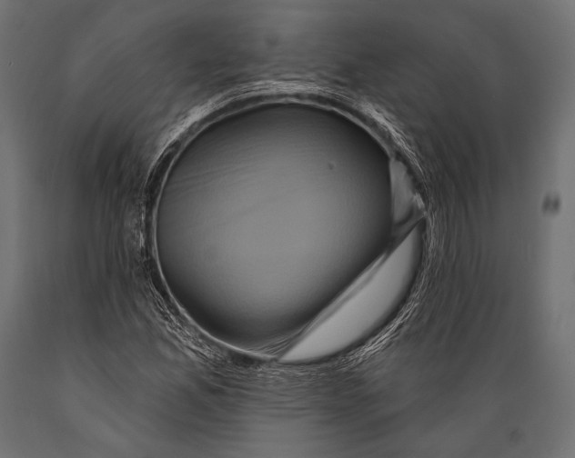 X0000088881165200706291557