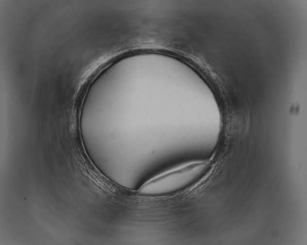 X0000088881167200706291556