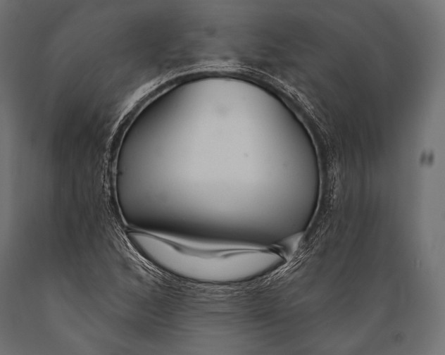 X0000088881168200706291556