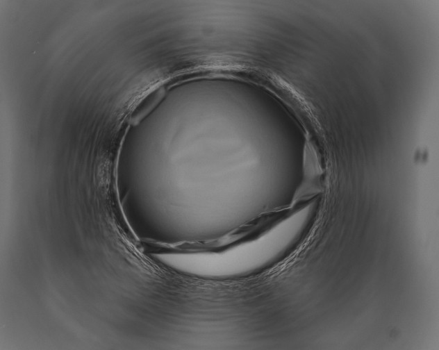 X0000088881169200706291556