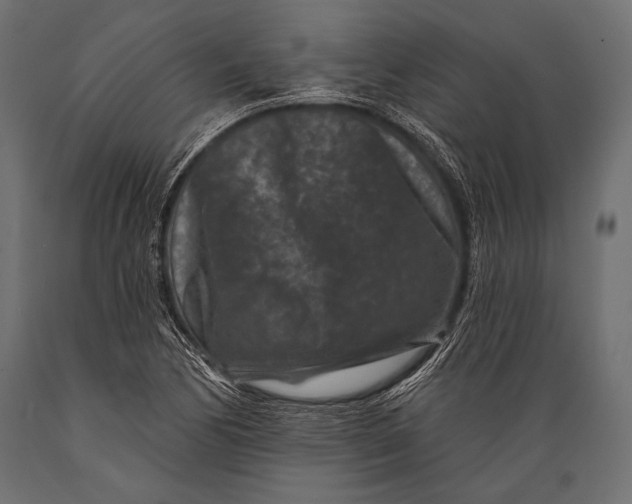 X0000088881170200706291556