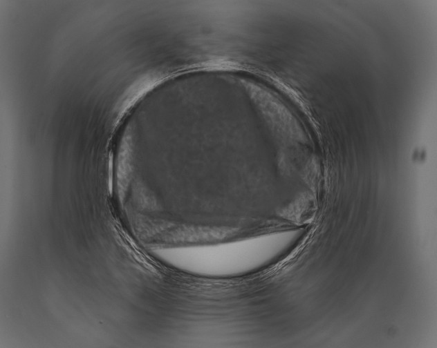 X0000088881171200706291556