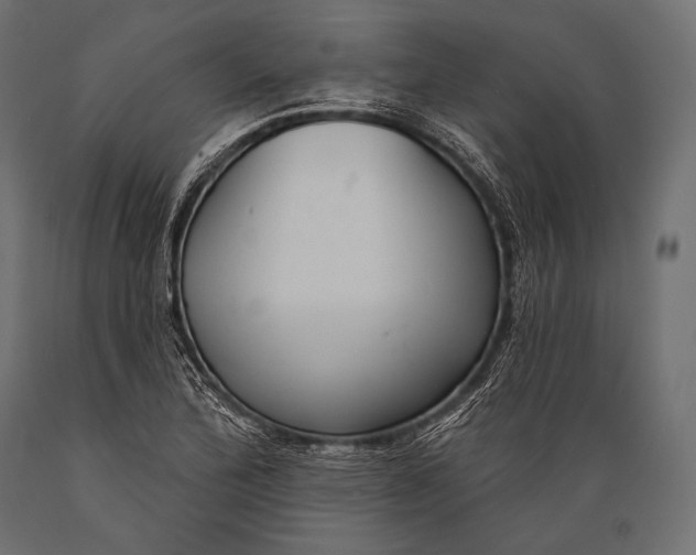 X0000088881172200706291556