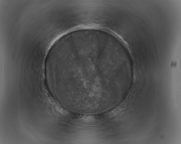 X0000088881174200706291556