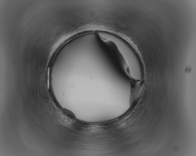 X0000088881175200706291556