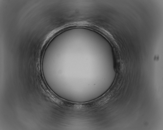 X0000088881176200706291556