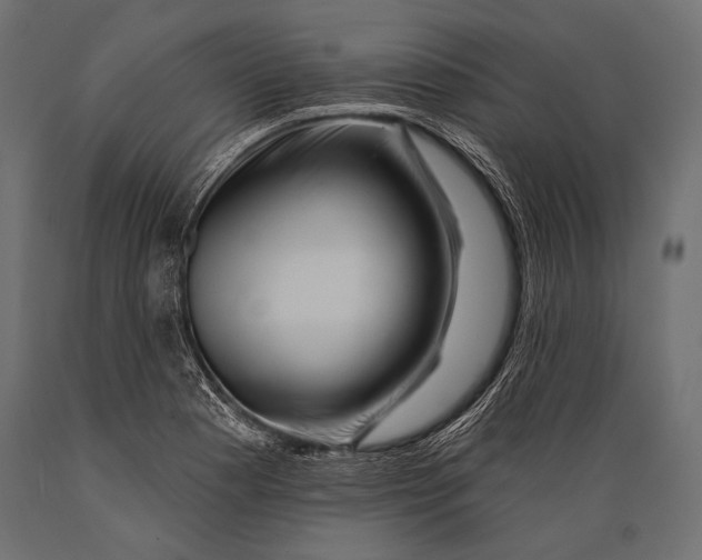 X0000088881177200706291556