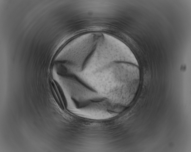 X0000088881178200706291556