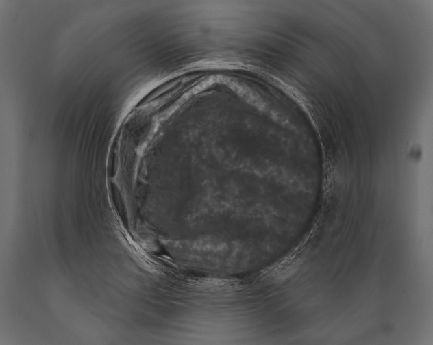 X0000088881179200706291556