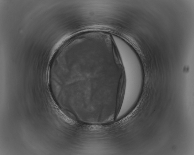 X0000088881180200706291556