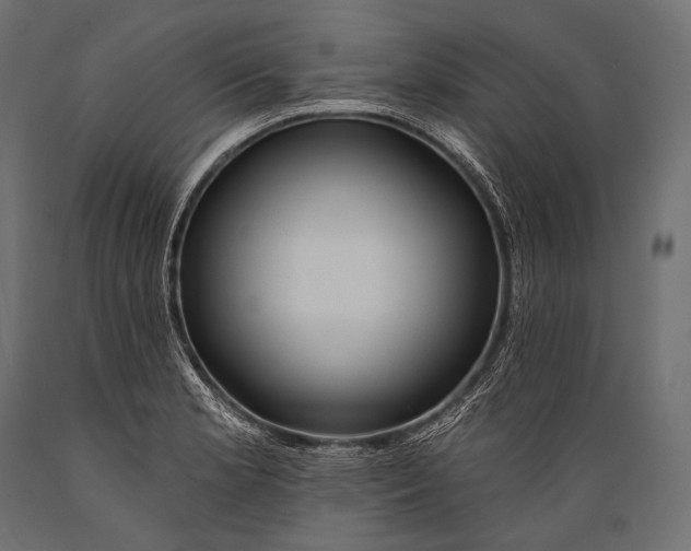 X0000088881181200706291556