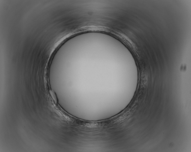 X0000088881182200706291556