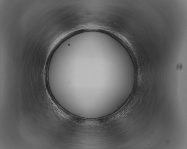 X0000088881183200706291556