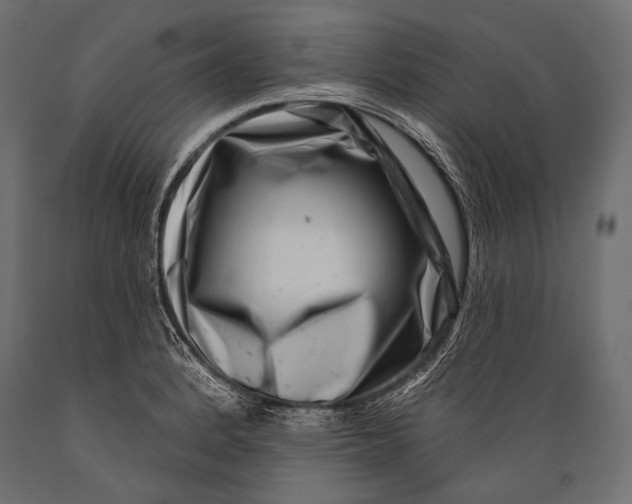 X0000088881184200706291556