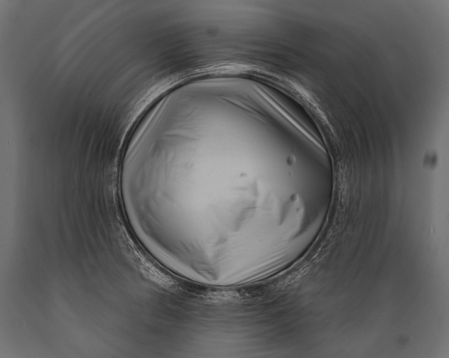 X0000088881186200706291556