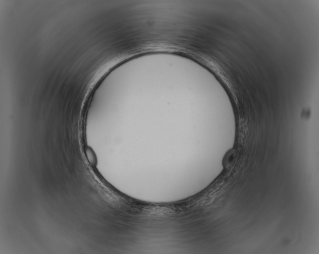 X0000088881187200706291556