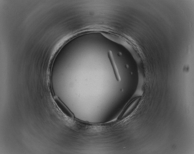 X0000088881188200706291556