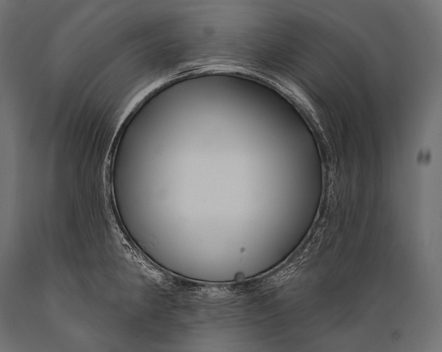 X0000088881190200706291556