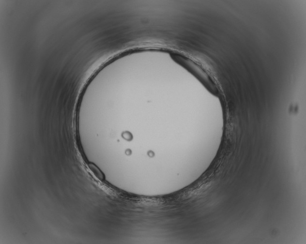 X0000088881191200706291556