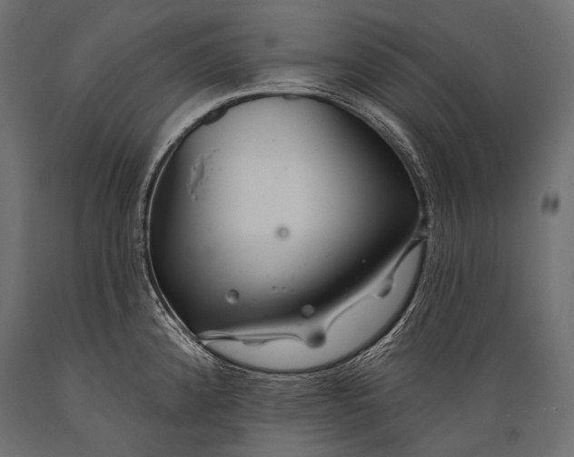 X0000088881192200706291556