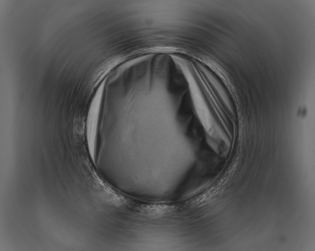 X0000088881193200706291556